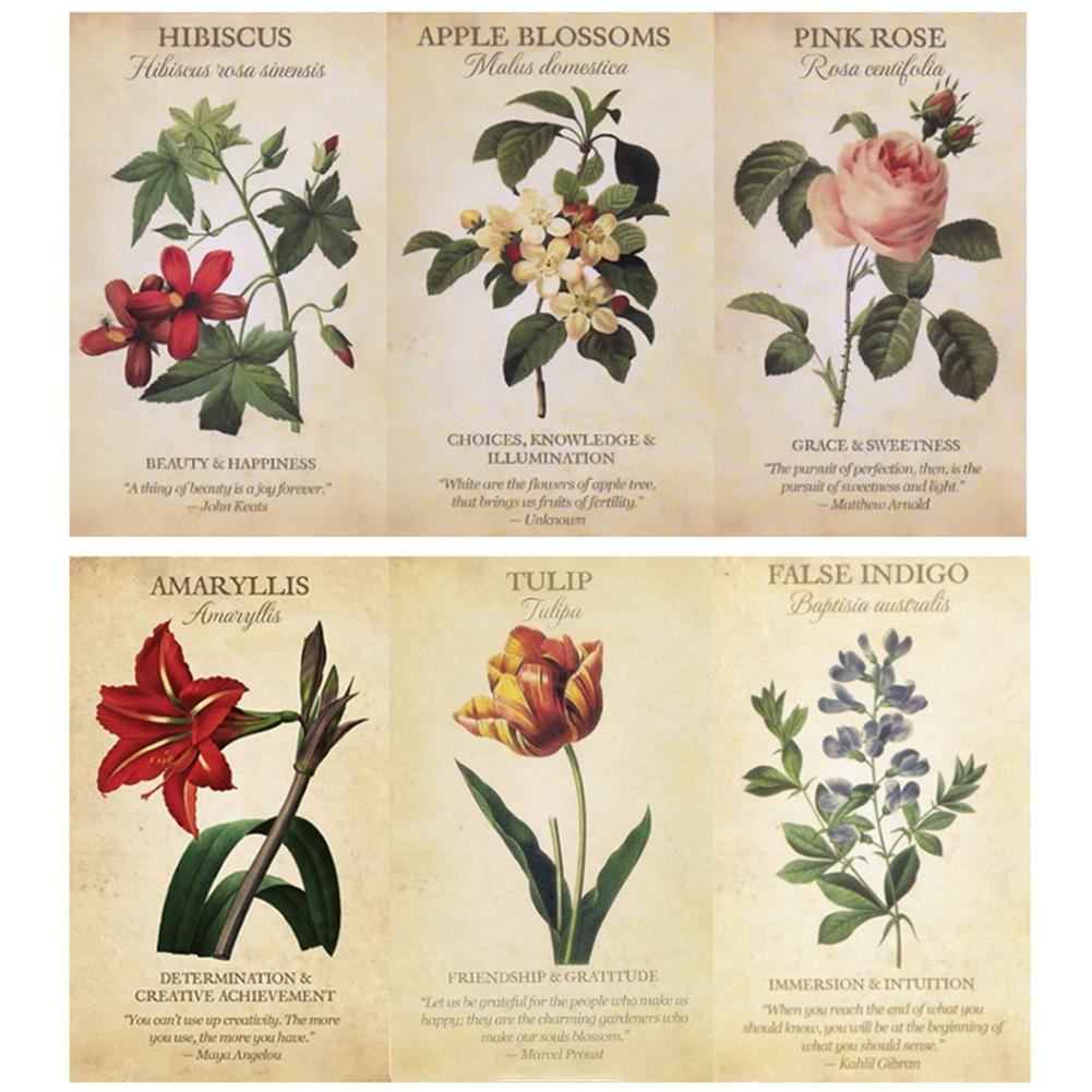 Inspiration botanica Carte Ora - Board Game Inspiration recensione e prezzo